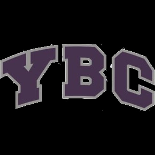 Yard Baseball Club logo